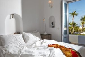 Aleria Villa_best deals_Villa_Cyclades Islands_Sandorini_Pyrgos