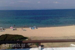 Argo Apartments_best prices_in_Apartment_Macedonia_Halkidiki_Nea Moudania