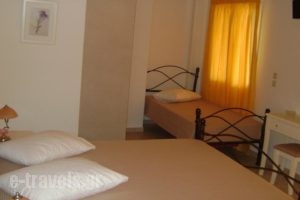 Vasso's Studios_best prices_in_Hotel_Ionian Islands_Lefkada_Vasiliki