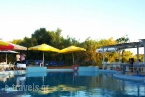 Hotel Vergina_best prices_in_Hotel_Central Greece_Attica_Athens