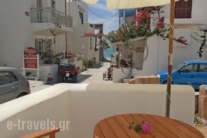 Theofanis Studios_lowest prices_in_Hotel_Cyclades Islands_Naxos_Agia Anna
