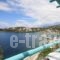 Paradise Design Apartments_accommodation_in_Apartment_Cyclades Islands_Andros_Andros City