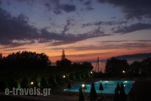 Bella Vista Hotel_best prices_in_Hotel_Aegean Islands_Lesvos_Mythimna (Molyvos)