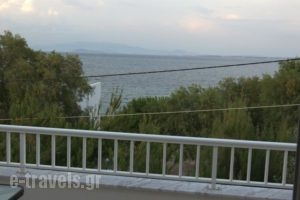 Angela'Studios_best prices_in_Hotel_Aegean Islands_Chios_Chios Rest Areas