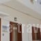 Pension Paros Anna Spanou_best deals_Hotel_Cyclades Islands_Paros_Paros Chora