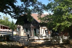 Vasiliki Mountain Farm & Retreat_best deals_Hotel_Central Greece_Fthiotida_Pavliani