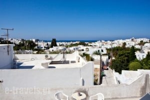 Pension Paros Anna Spanou_lowest prices_in_Hotel_Cyclades Islands_Paros_Paros Chora