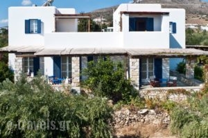 Flora & Agelos Studios_holidays_in_Hotel_Cyclades Islands_Antiparos_Antiparos Rest Areas