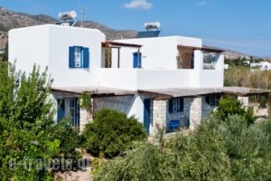 Flora & Agelos Studios_accommodation_in_Hotel_Cyclades Islands_Antiparos_Antiparos Rest Areas