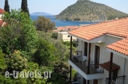 Oasis Apartments_s __1