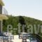 Serenity_best prices_in_Hotel_Ionian Islands_Lefkada_Athani