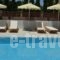 Graziella Apartments_lowest prices_in_Apartment_Dodekanessos Islands_Rhodes_Ialysos