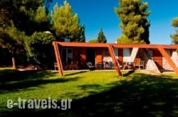 Villa Aggeliki_s __1