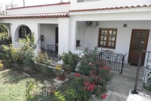 Amalia Studios_lowest prices_in_Hotel_Sporades Islands_Skiathos_Skiathos Chora
