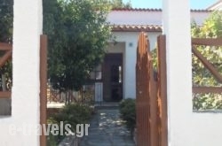 Amalia Studios in Skiathos Chora, Skiathos, Sporades Islands