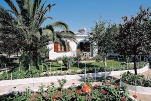 Mylos Studios_lowest prices_in_Hotel_Sporades Islands_Skiathos_Skiathoshora