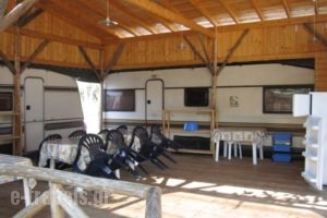 Camping Tsitreli_accommodation_in_Hotel_Macedonia_Halkidiki_Toroni