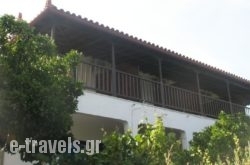 Diomas Studios_s __1