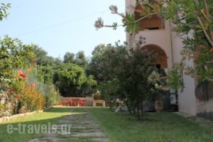 Emily'S Apartments_best prices_in_Apartment_Ionian Islands_Corfu_Kassiopi