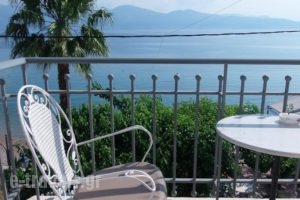 Hotel Plaz_holidays_in_Hotel_Peloponesse_Achaia_Simpolitia