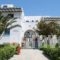 Coralli Beach Apartments_best prices_in_Apartment_Cyclades Islands_Paros_Paros Chora