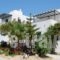 Coralli Beach Apartments_lowest prices_in_Apartment_Cyclades Islands_Paros_Paros Chora