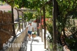 Pervola Hotel_s __1