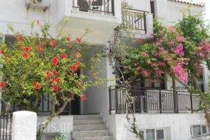 Frini Hotel_lowest prices_in_Hotel_Aegean Islands_Samos_Samosst Areas