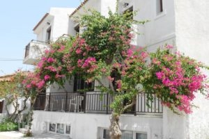 Frini Hotel_accommodation_in_Hotel_Aegean Islands_Samos_Samosst Areas