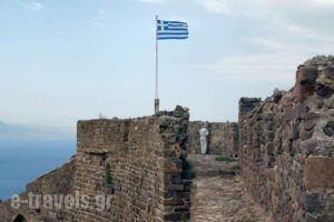 Triena Rooms_holidays_in_Room_Aegean Islands_Lesvos_Mythimna (Molyvos)