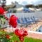 Oliv Apartments_best prices_in_Apartment_Crete_Rethymnon_Rethymnon City