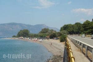 Zeus Village_lowest prices_in_Hotel_Central Greece_Fokida_Gravia