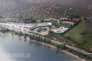 Levendi Hotel_accommodation_in_Hotel_Central Greece_Fthiotida_Kamena Vourla