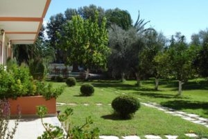 Evelyns House_lowest prices_in_Hotel_Peloponesse_Ilia_Zacharo