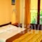 Pagaseon Studios_holidays_in_Hotel_Thessaly_Magnesia_Milies
