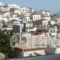 Villa Aegeo Studios_travel_packages_in_Cyclades Islands_Andros_Batsi