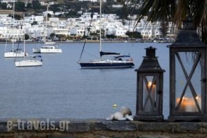 Parian Village_holidays_in_Hotel_Cyclades Islands_Paros_Paros Chora