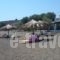 Tavari Beach Hotel_best prices_in_Hotel_Aegean Islands_Lesvos_Tavari