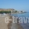 Tavari Beach Hotel_best deals_Hotel_Aegean Islands_Lesvos_Tavari