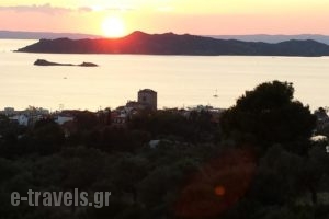 Pension Irini_travel_packages_in_Macedonia_Halkidiki_Ierissos
