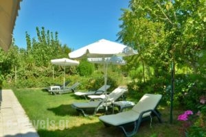 Lemonia Accommodations_best prices_in_Hotel_Ionian Islands_Zakinthos_Laganas
