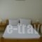Vazakas Rooms_best prices_in_Room_Aegean Islands_Lesvos_Mytilene