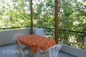 Villa Maria_accommodation_in_Villa_Macedonia_Kavala_Ofrynio