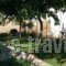 Eleana Studios_best prices_in_Hotel_Sporades Islands_Skyros_Skyros Rest Areas