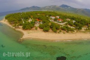 Kazaviti Hotel & Apartments_best prices_in_Apartment_Aegean Islands_Thasos_Thasos Chora