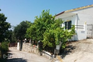 Nikos - Eleni_accommodation_in_Hotel_Ionian Islands_Corfu_Corfu Rest Areas