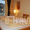 Elisson Hostel_best prices_in_Hotel_Peloponesse_Korinthia_Kryoneri