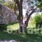 Pansion Laertes_best deals_Hotel_Ionian Islands_Lefkada_Lefkada's t Areas