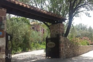 Liokambi Village Bungalows_holidays_in_Hotel_Aegean Islands_Lesvos_Mythimna (Molyvos)