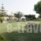 Sunset Studios_best deals_Hotel_Central Greece_Evia_Nea Stira